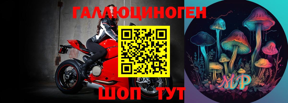 Мурино  Псилоцибиновые грибы Magic Shrooms  Вход с VPN  Псилоцибиновые грибы Psilocybine cubensis 