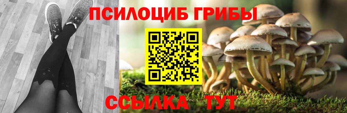 Псилоцибиновые грибы мухоморы Мурино